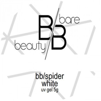 spider-white.png